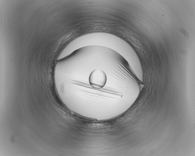 X0000115270361200911271950