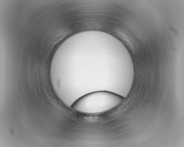 X0000115270362200911271950