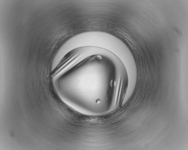 X0000115270365200911271950