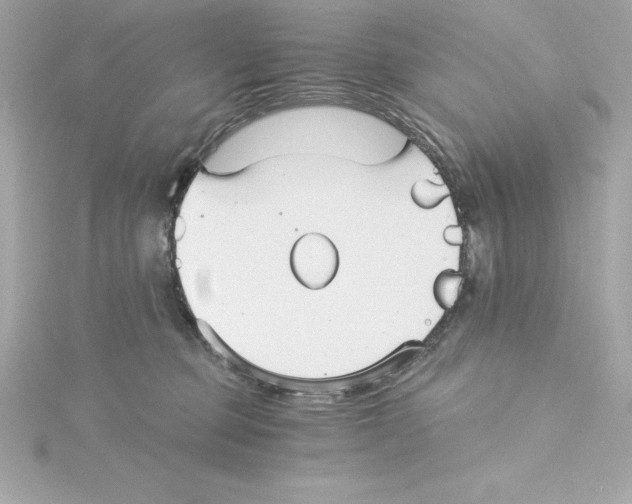 X0000115270373200911271950