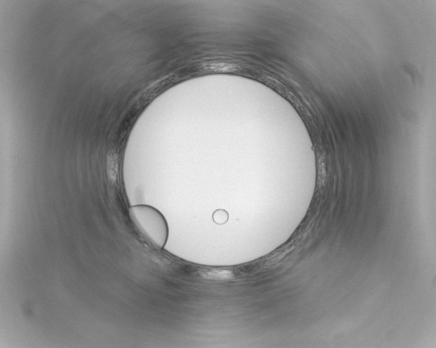 X0000115270374200911271950