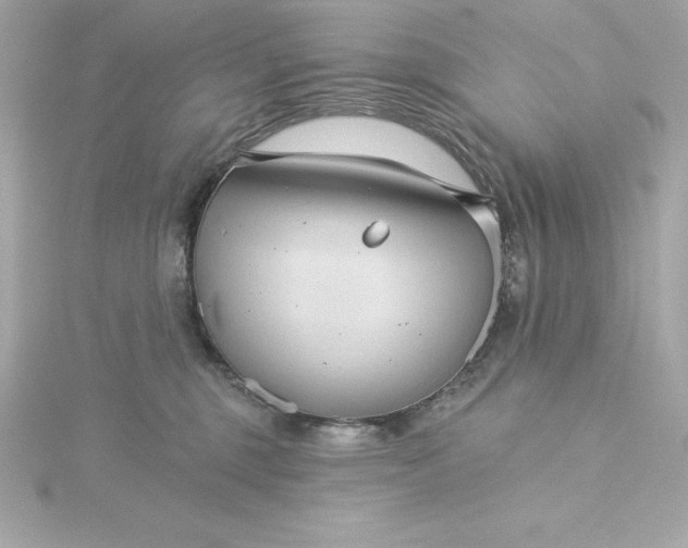 X0000115270375200911271950