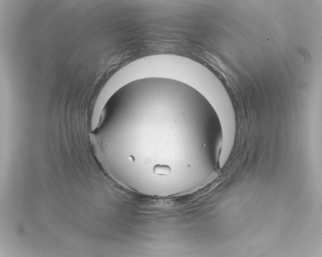 X0000115270377200911271950