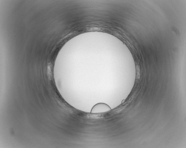 X0000115270378200911271950