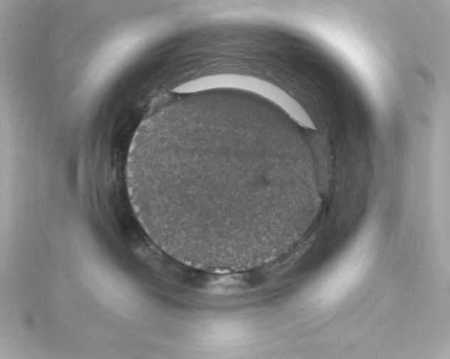 X0000115270382200911271951