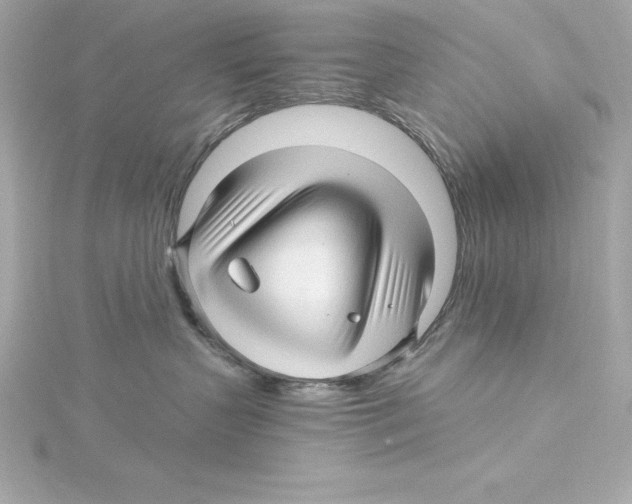 X0000115270383200911271951