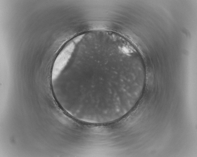 X0000115270385200911271950