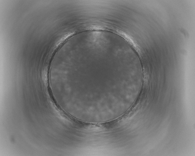 X0000115270386200911271950