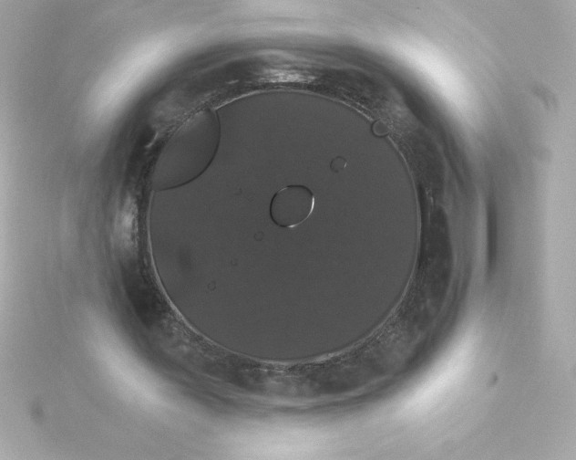 X0000115270387200911271950