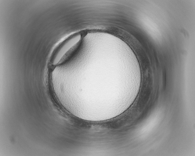 X0000115270388200911271950