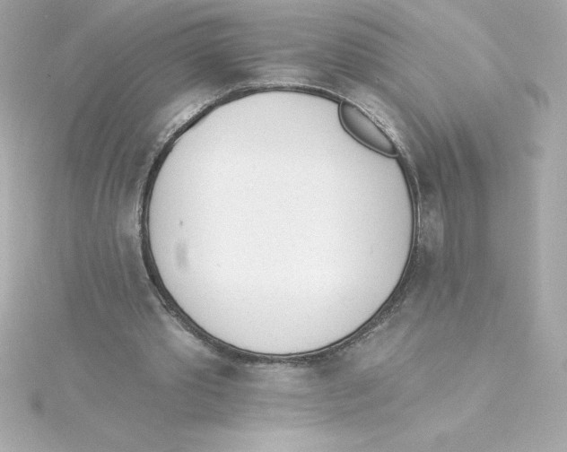 X0000115270389200911271950