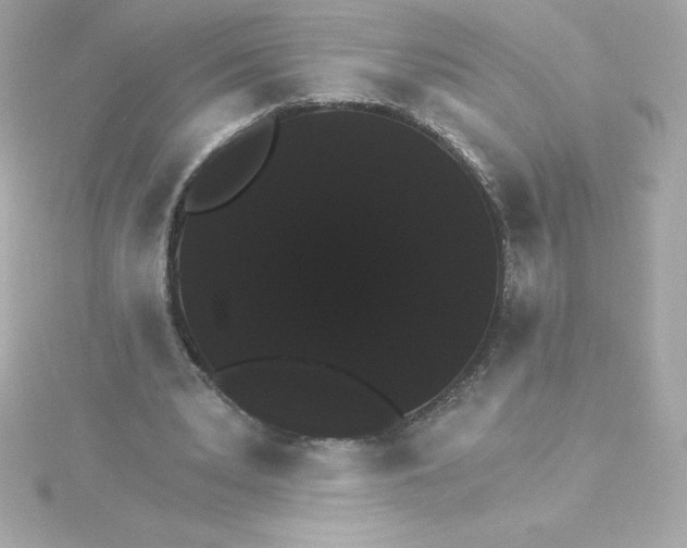 X0000115270391200911271950