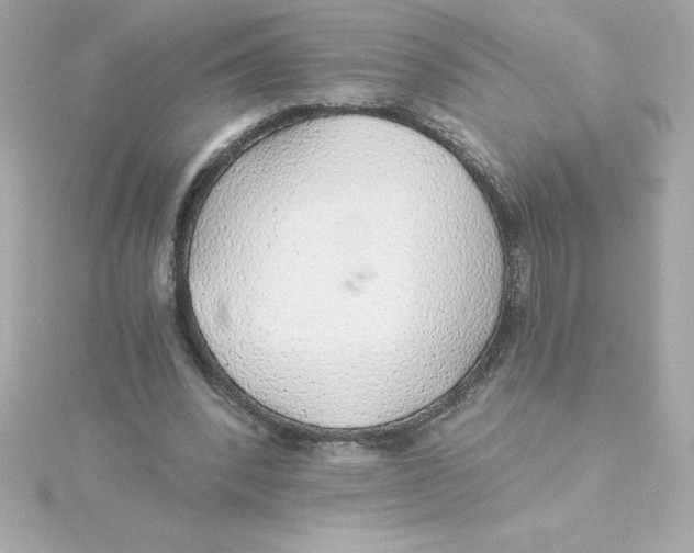 X0000115270392200911271950