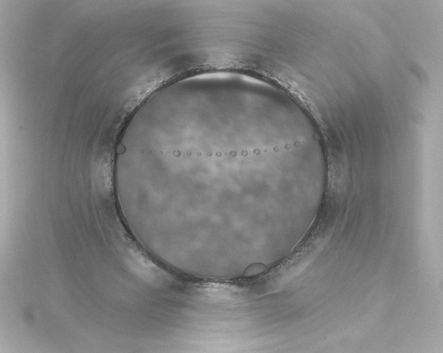 X0000115270393200911271950