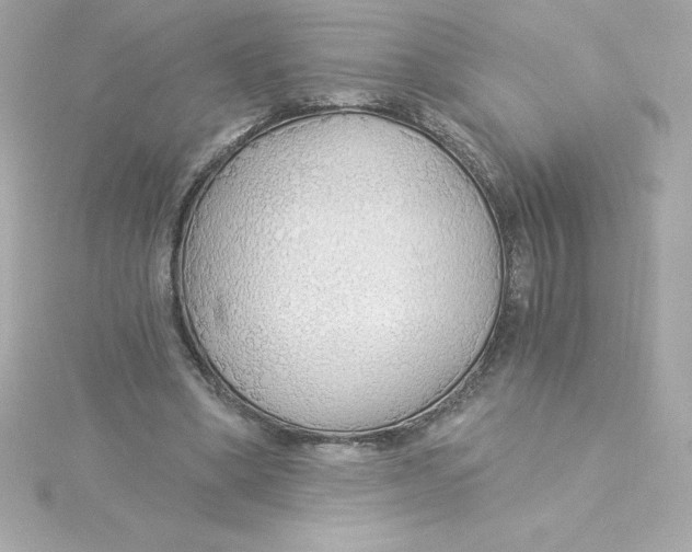 X0000115270394200911271950