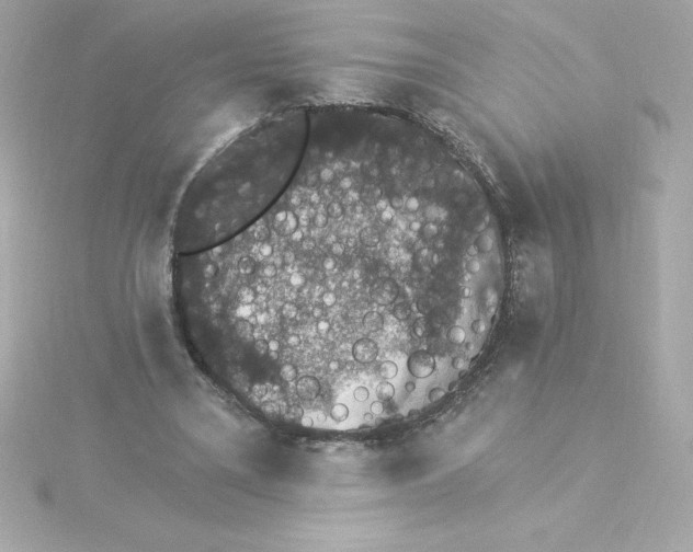 X0000115270395200911271950