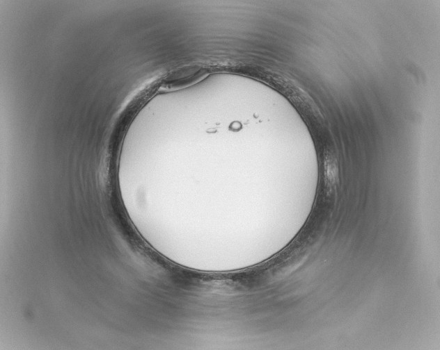 X0000115270396200911271950