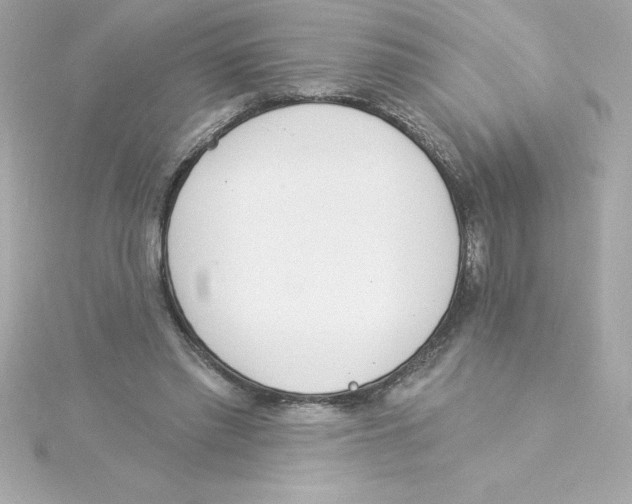 X0000115270397200911271950