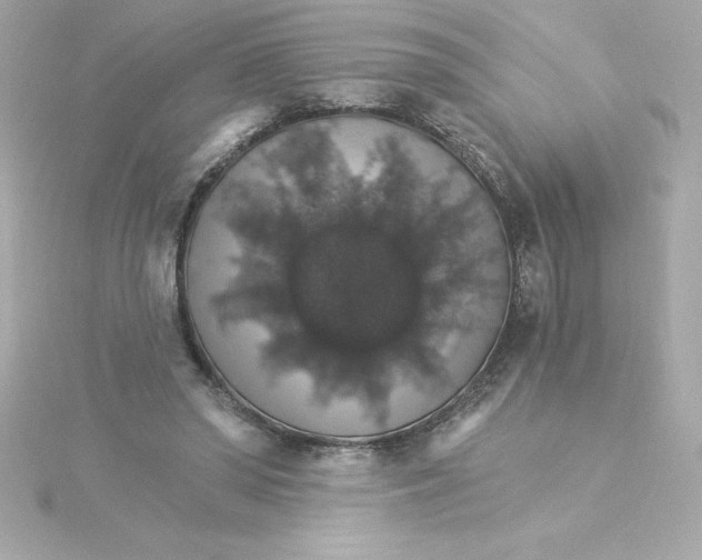 X0000115270398200911271950