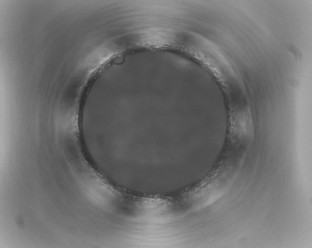 X0000115270399200911271950