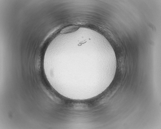 X0000115270400200911271950