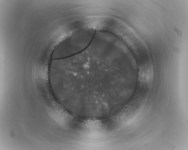 X0000115270403200911271950