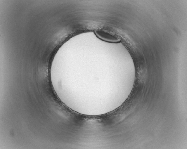 X0000115270407200911271950