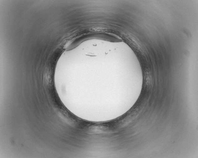 X0000115270408200911271950