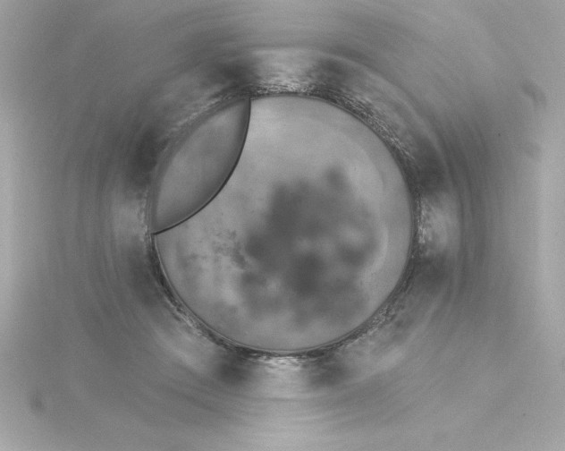 X0000115270409200911271950