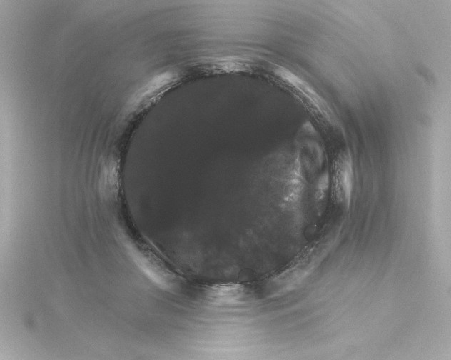 X0000115270410200911271950