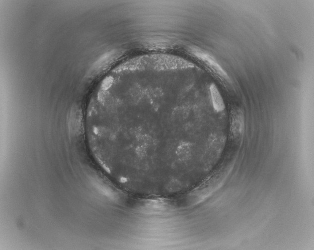 X0000115270411200911271950