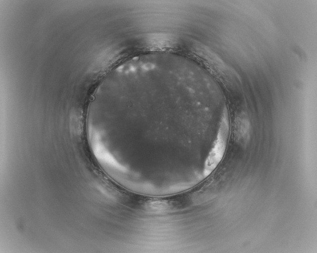 X0000115270413200911271950