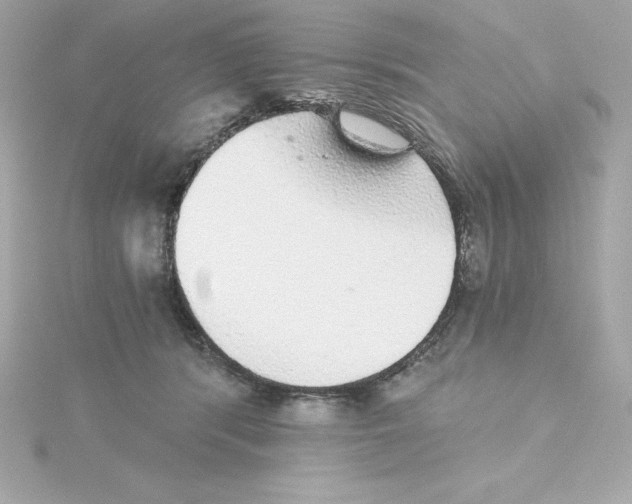 X0000115270416200911271950