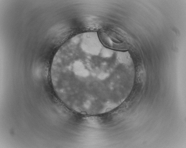 X0000115270417200911271950