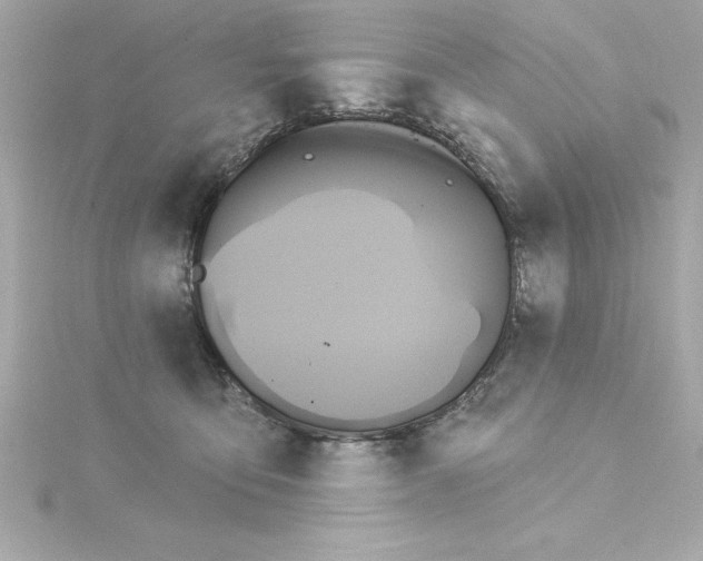 X0000115270419200911271949