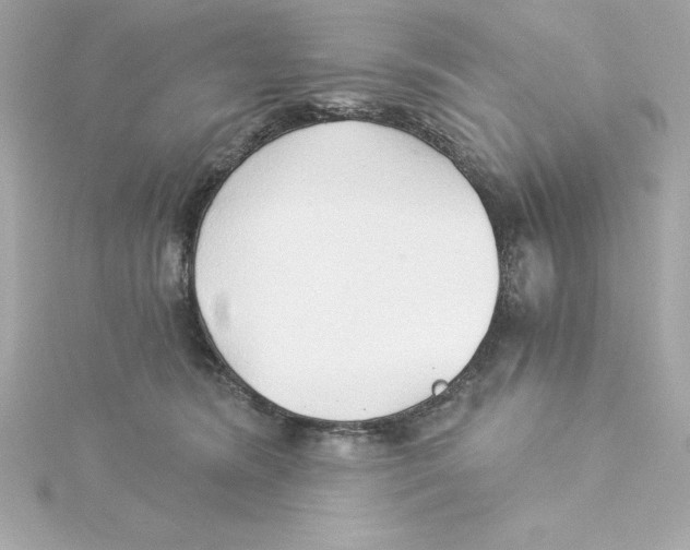 X0000115270420200911271949