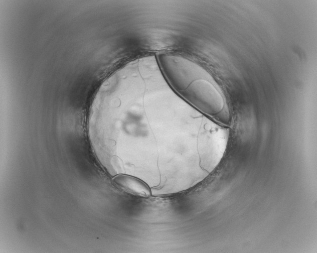 X0000115270421200911271949