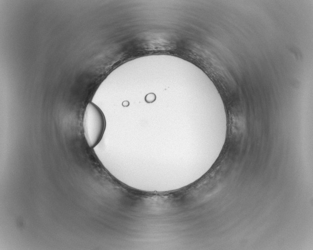 X0000115270422200911271949