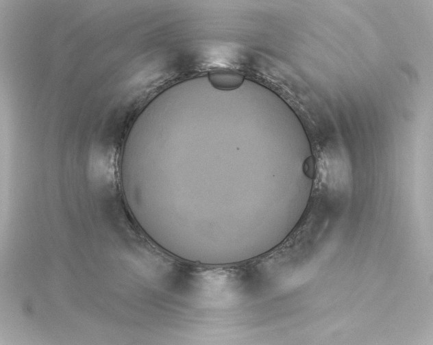 X0000115270423200911271949