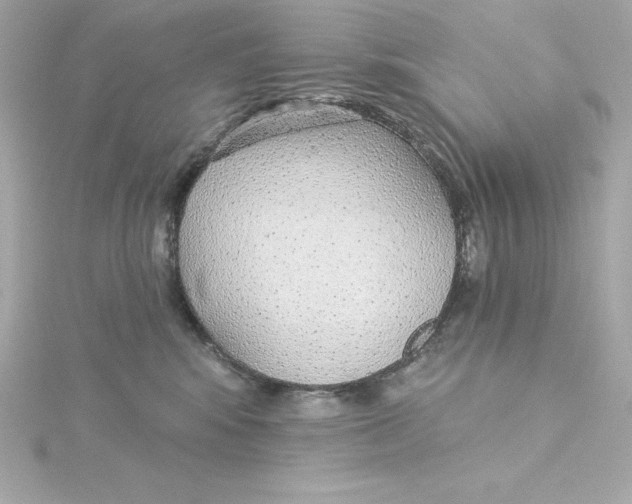 X0000115270424200911271949