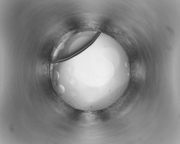 X0000115270425200911271949