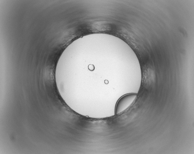 X0000115270426200911271949