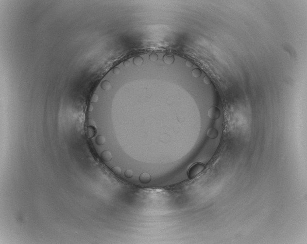 X0000115270427200911271949