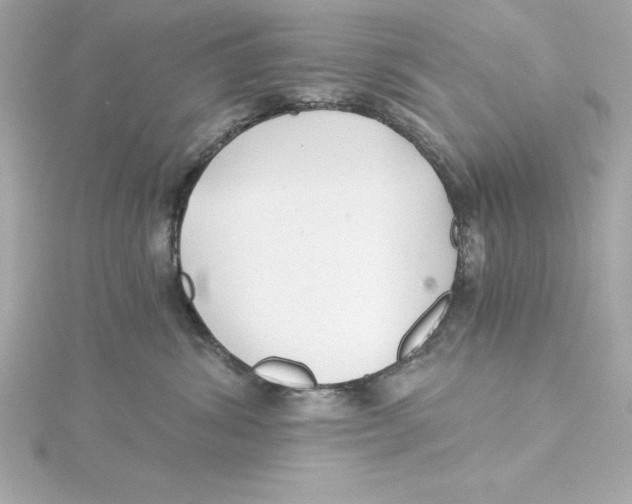 X0000115270428200911271949