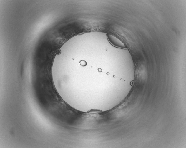 X0000115270429200911271949