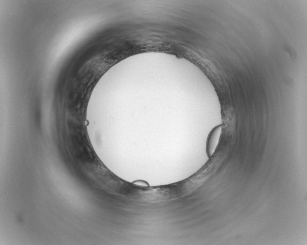 X0000115270430200911271949