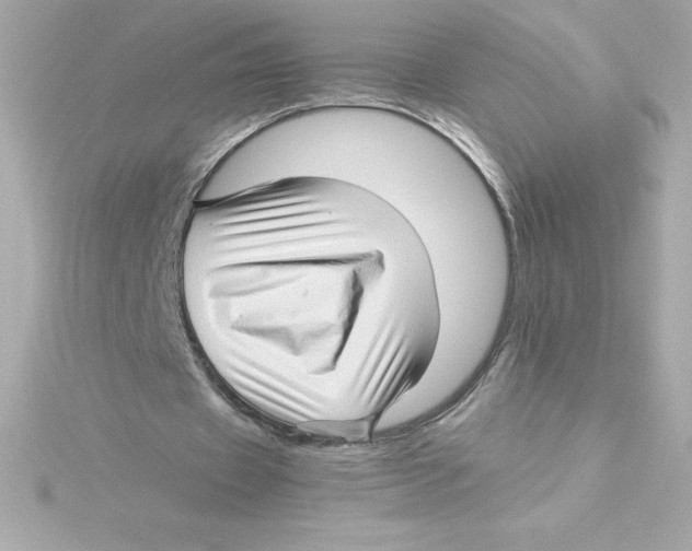 X0000115270433200911271949