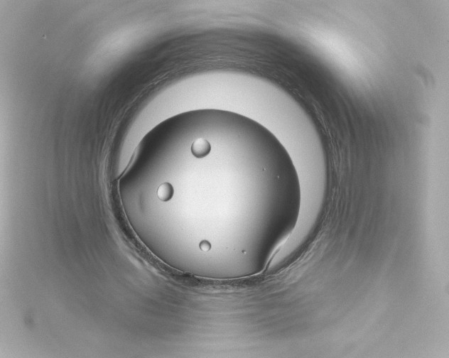 X0000115270435200911271949