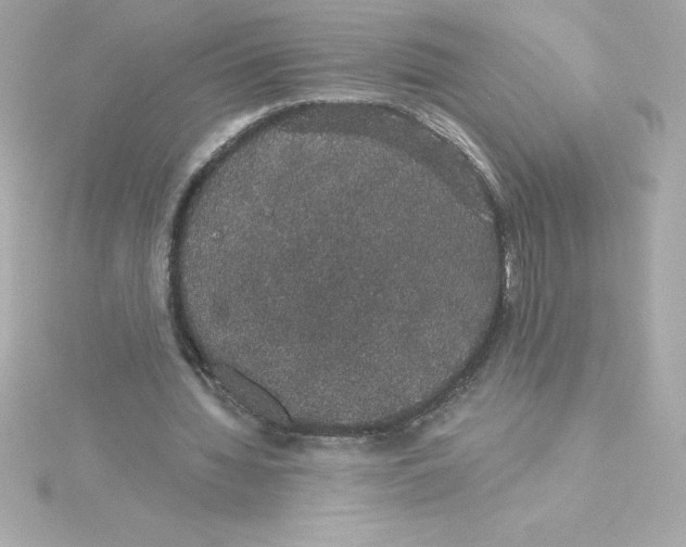 X0000115270436200911271949