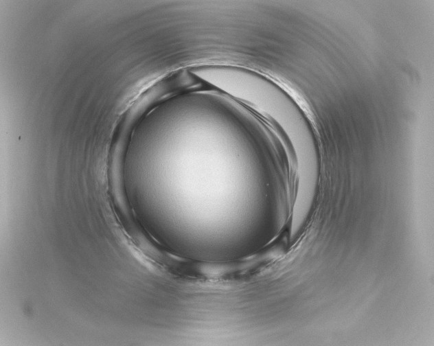 X0000115270437200911271949